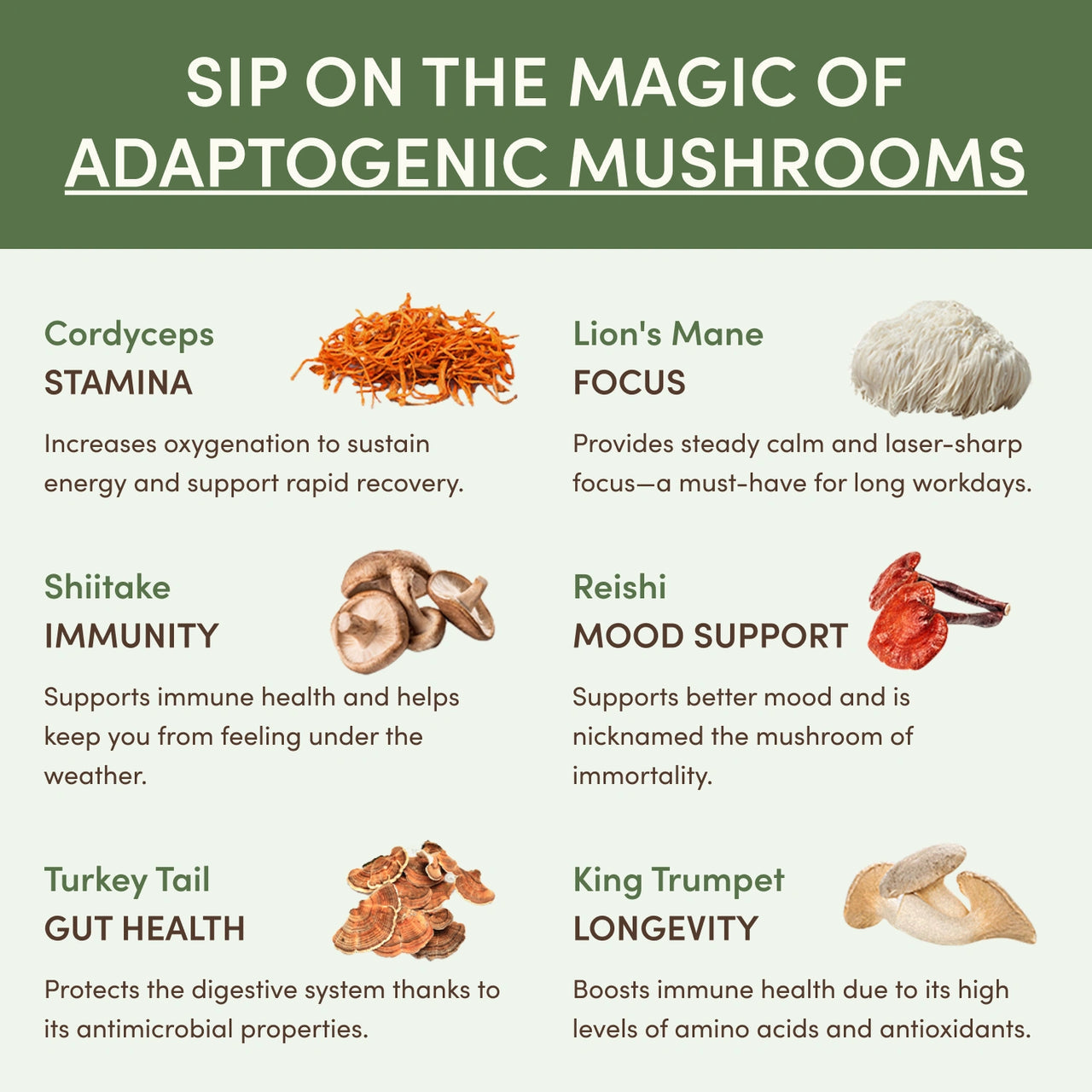 RYZE SUPERFOODS Mushroom Matcha Starter Kit, USDAOrganic with 6 Adaptogenic Mushrooms and Ceremonial-Grade Matcha, Energy, Focus, Digestion, lmmunity withTurkey Tail, Shiitake, Reishi